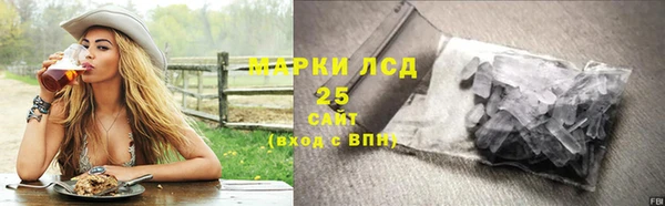 PSILOCYBIN Балахна